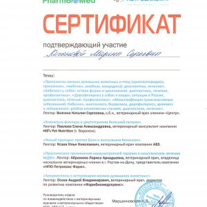 Сертификат от «АВЗ С-П»