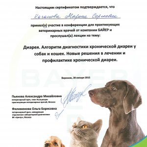 Сертификат участия на конференции от БАЙЕР