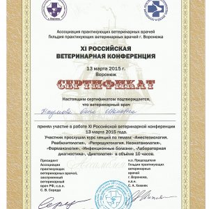 Сертификат XI Российской Ветеринарной Конференции