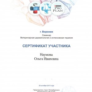 Сертификат участника семинара «Ветеринарная дерматология и интенсивная терапия»
