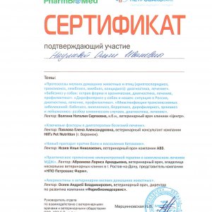 Сертификат от «АВЗ С-П»
